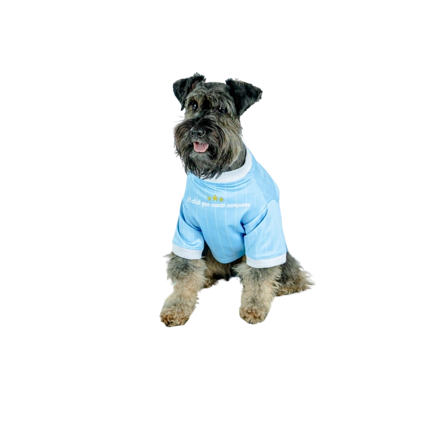Camiseta Sporting Cristal Oficial Colección 2025, , large image number null