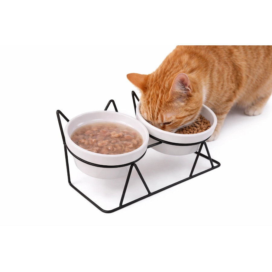 Taz&oacute;n Doble Cer&aacute;mico Para Gato Leeby 250 Ml, , large image number null