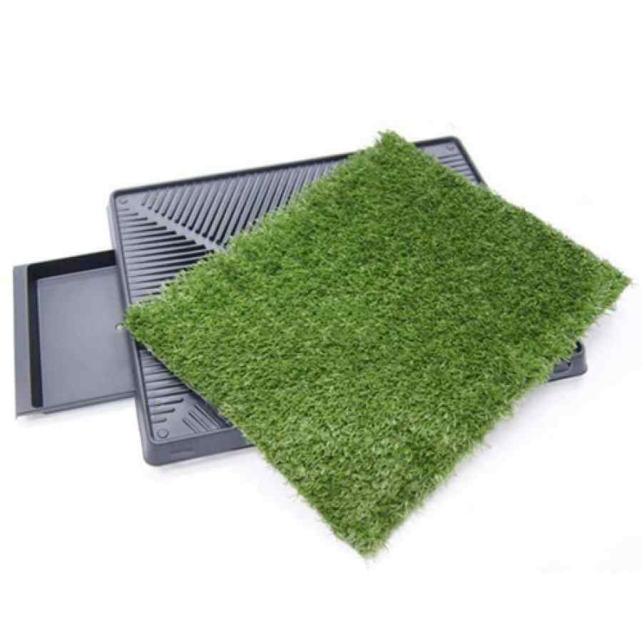 Claws & Paws Baño de Gras Sintético + Repuesto de Grass image number null