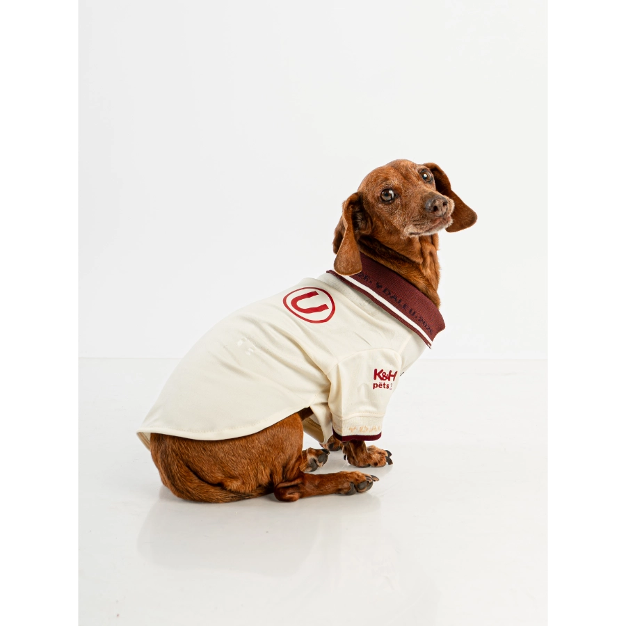 Camiseta Oficial Colecci&oacute;n 2026 Universitario, , large image number null