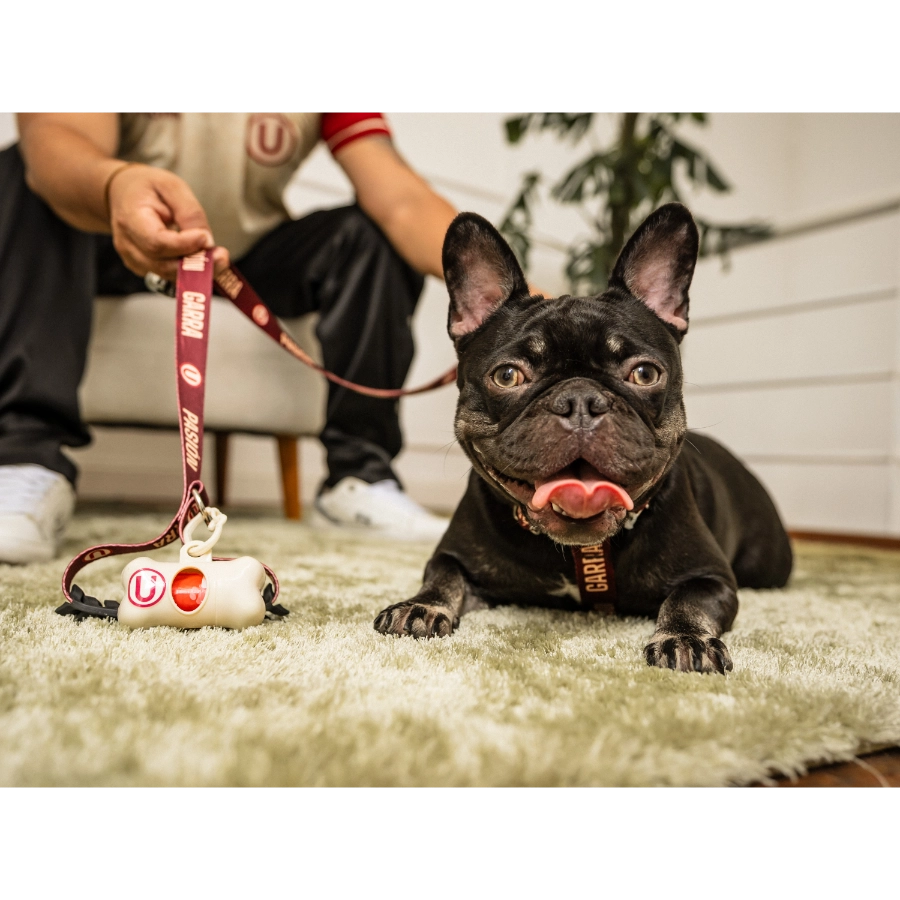 Dispensador De Bolsas Universitario + Bolsas, , large image number null