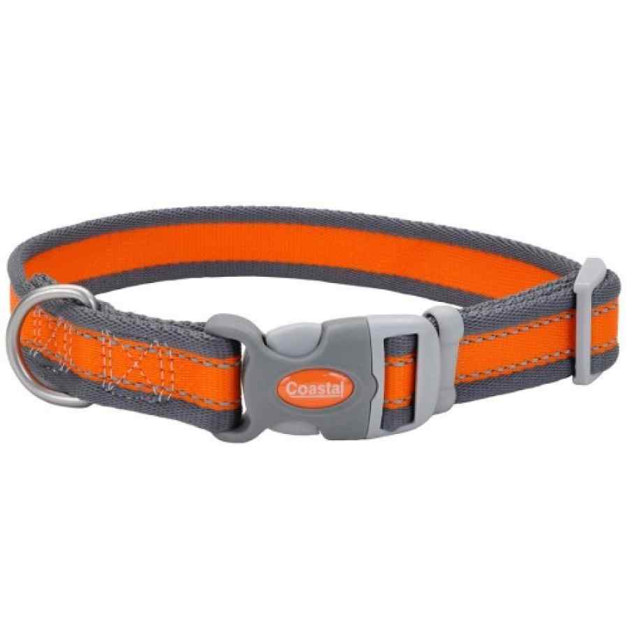 Coastal Collar Ajustable Y Reflectivo 2.54cm Ancho X 35 50cm Largo
