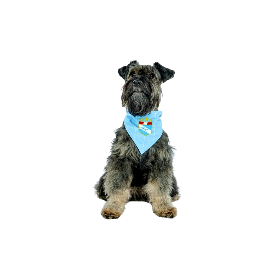 Bandana Oficial Sporting Cristal Colección 2025, , large image number null