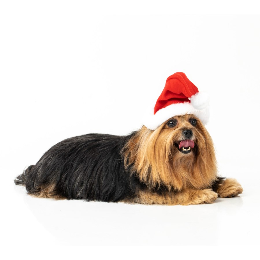 Mpets Gorro Navideño, , large image number null