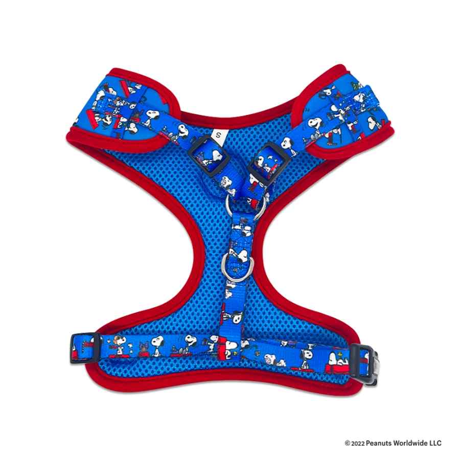Harness Snoopy Peanuts Azul, , large image number null