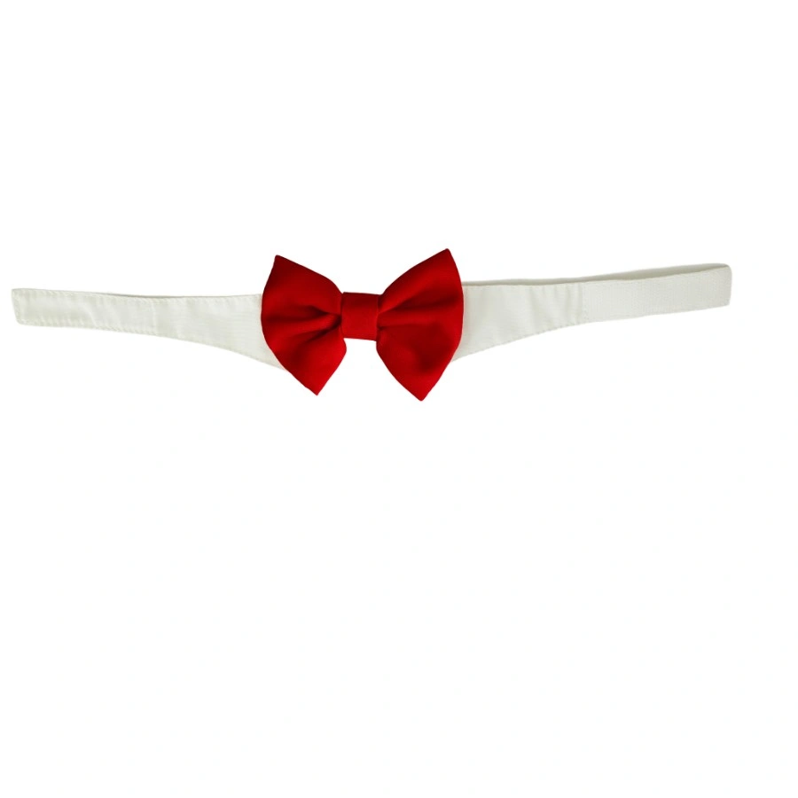 Gotoo! Corbata Michi Para Perro Roja, , large image number null