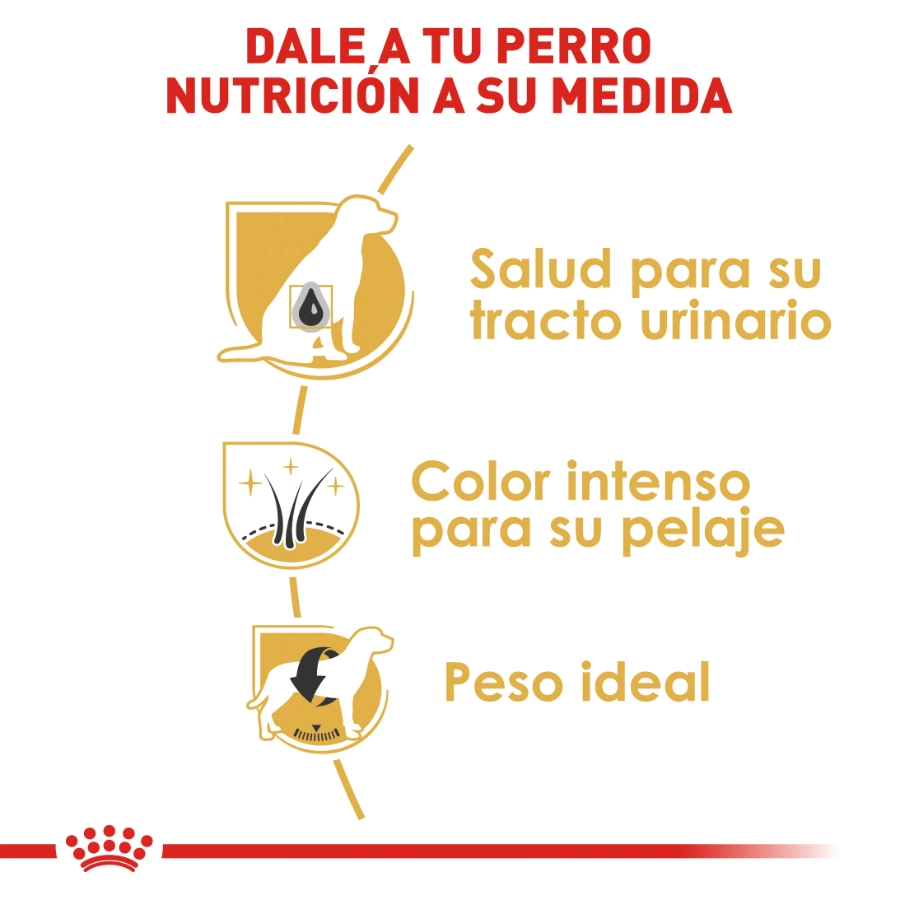 Royal Canin Perro Bhn Schnauzer Adult 3 Kg, , large image number null