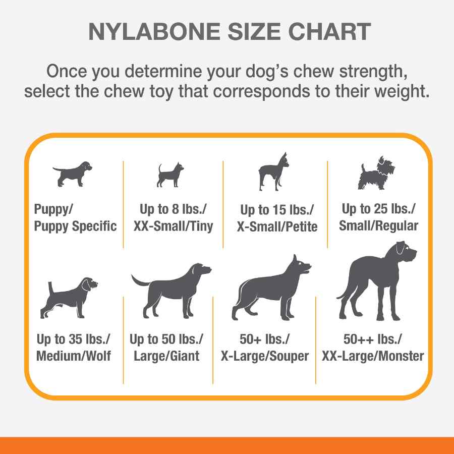 Nylabone Power Chew Huesto Texturizado Sabor Res, , large image number null
