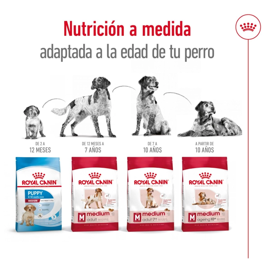 Royal Canin Shn Medium Adult Cd 10Kg, , large image number null