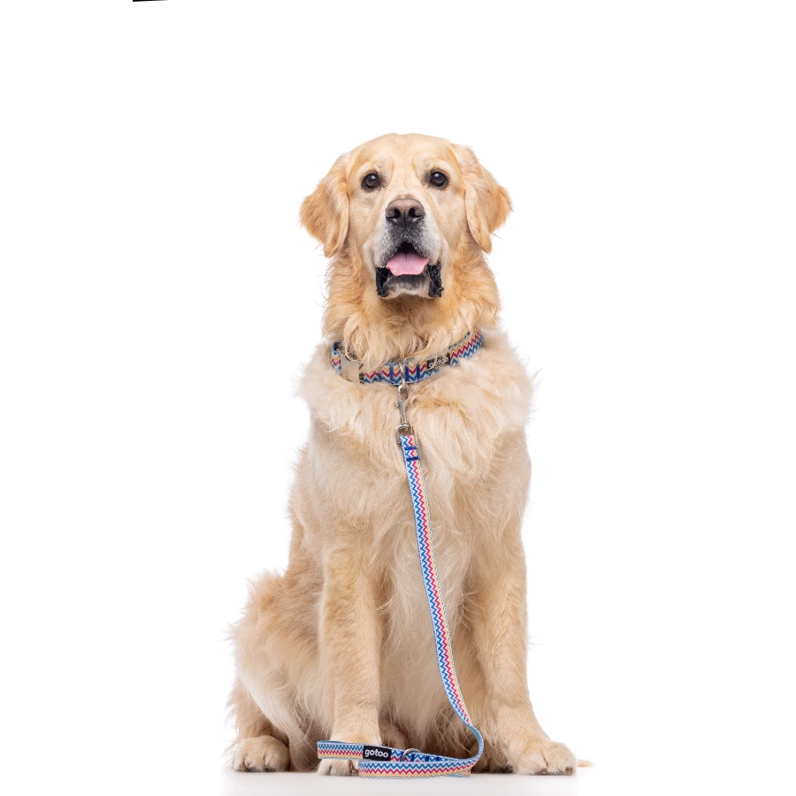 Correa Con Estampado Zig-Zag Para Perros Talla M, , large image number null