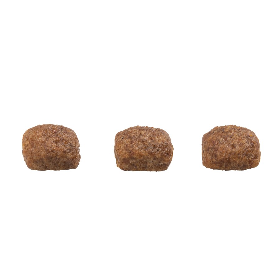 Gran Plus Gourmet Perro Cachorro Mediano Y Grande Cordero Y Arroz 15 Kg, , large image number null