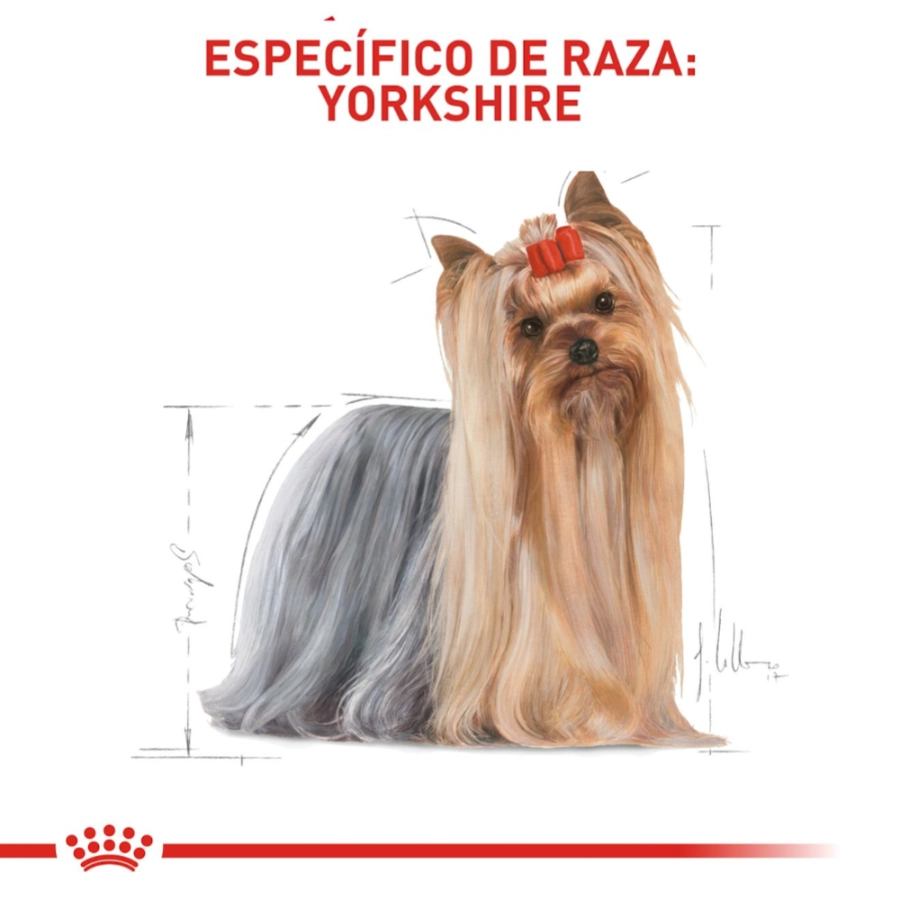 Royal Canin Perro Bhn Yorkshire Adult, , large image number null