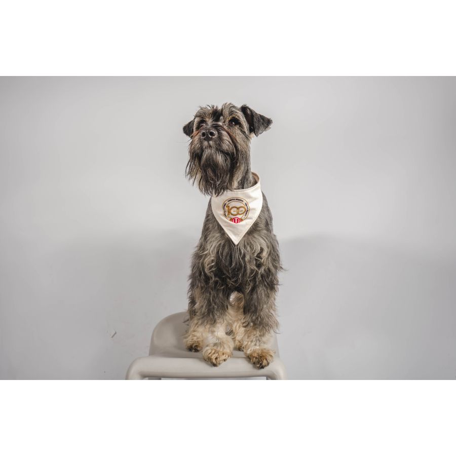 Bandana reversible oficial universitario, , large image number null