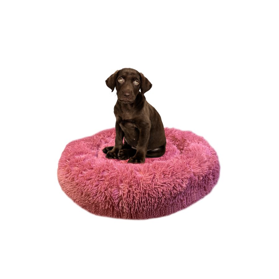 Accecan cama donut pelo largo rosa, , large image number null
