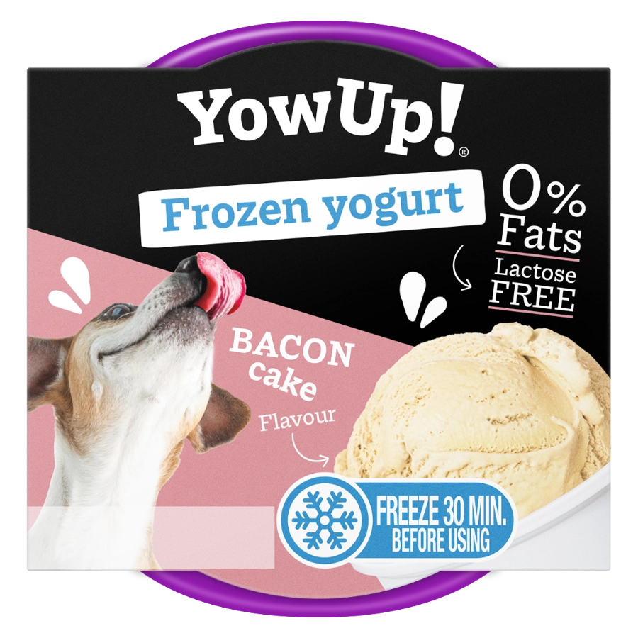Frozen Yogurt Bacon Cake 110G