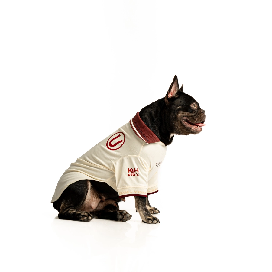 Camiseta Oficial Colecci&oacute;n 2026 Universitario, , large image number null