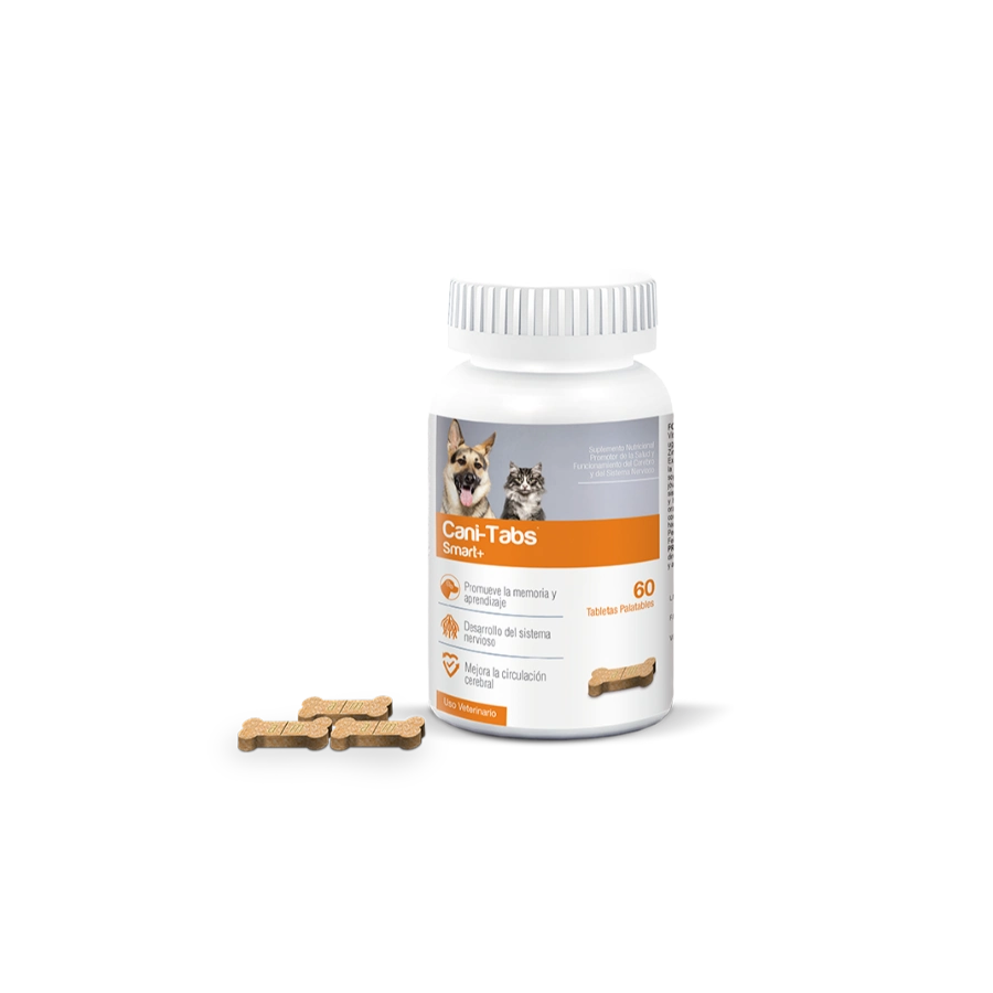 Cani-Tabs Brain & Neuro Fsco X 60 Tab