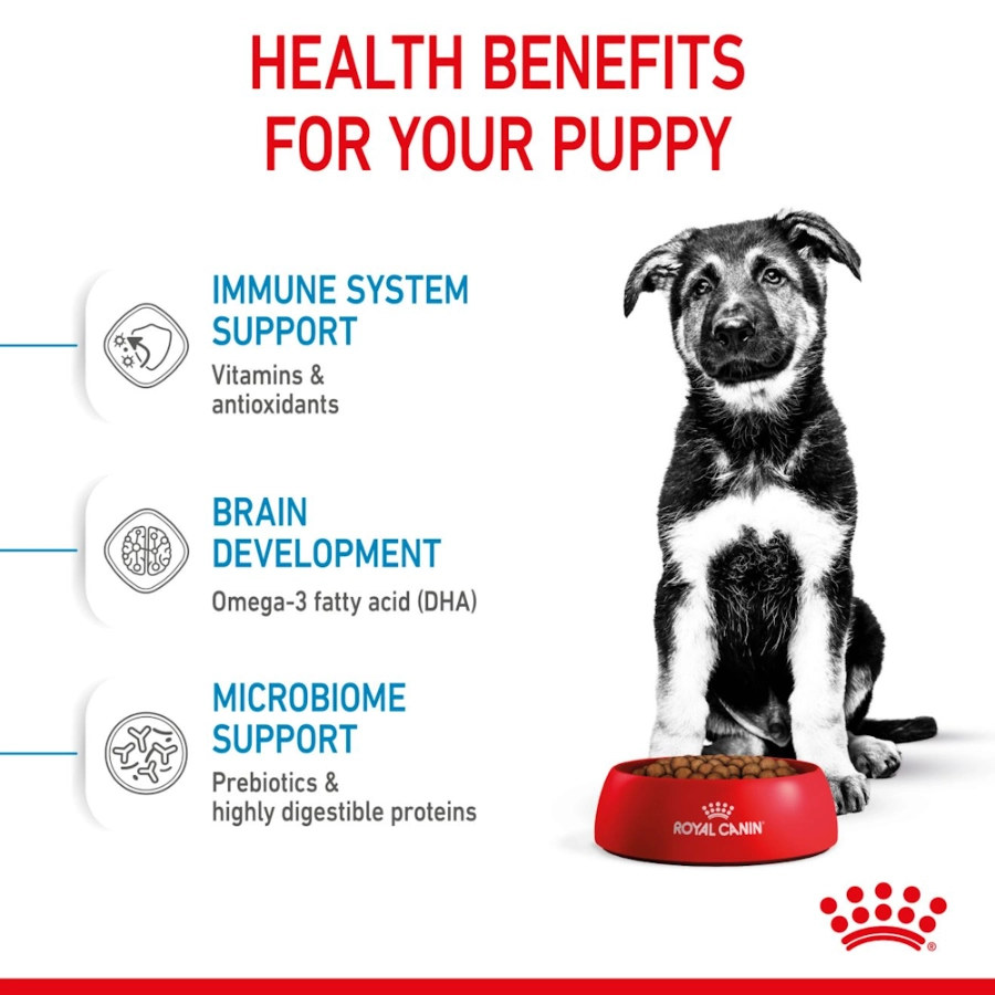 Royal Canin Perro Shn Maxi Puppy 15 Kg, , large image number null