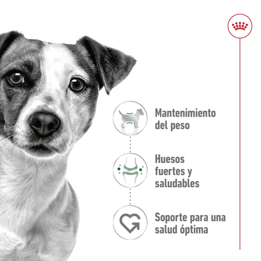 Royal Canin Perro Shn Mini Adult, , large image number null
