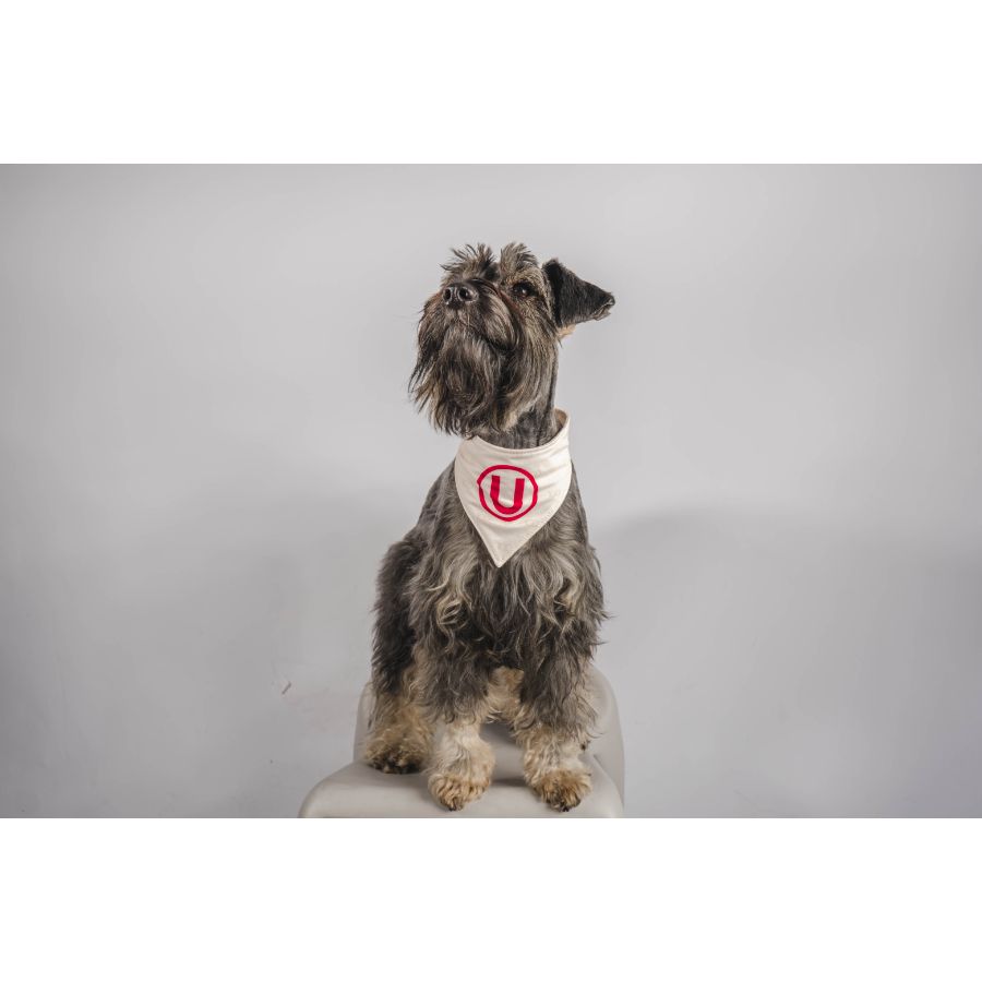 Bandana reversible oficial universitario, , large image number null
