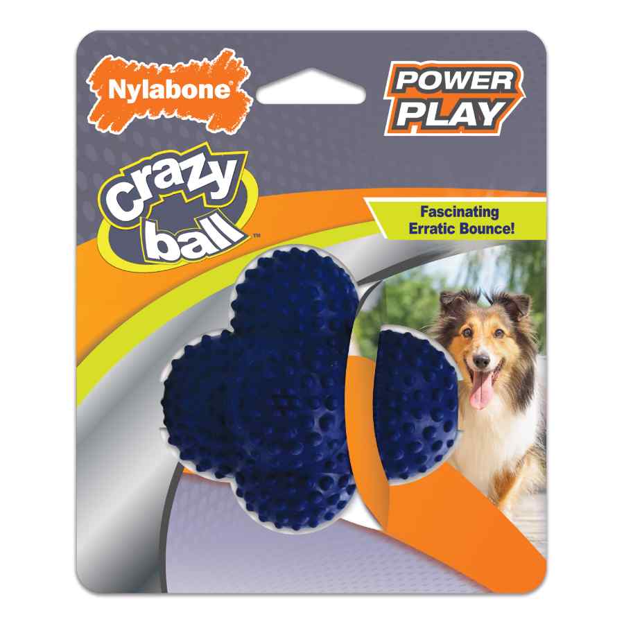 Nylabone Power Play Crazy Ball