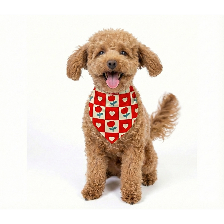 Valentines Paws Bandana Mas Pa&ntilde;oleta, , large image number null