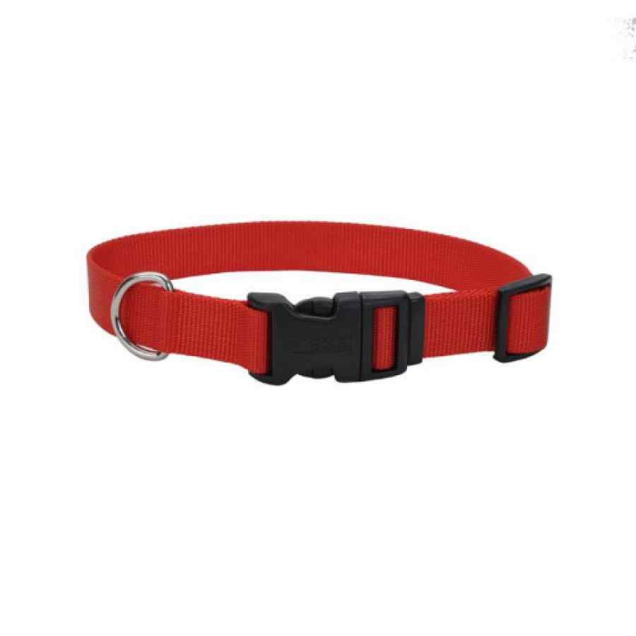 Coastal Collar Nylon Large 1" X 26' Rojo, , large image number null