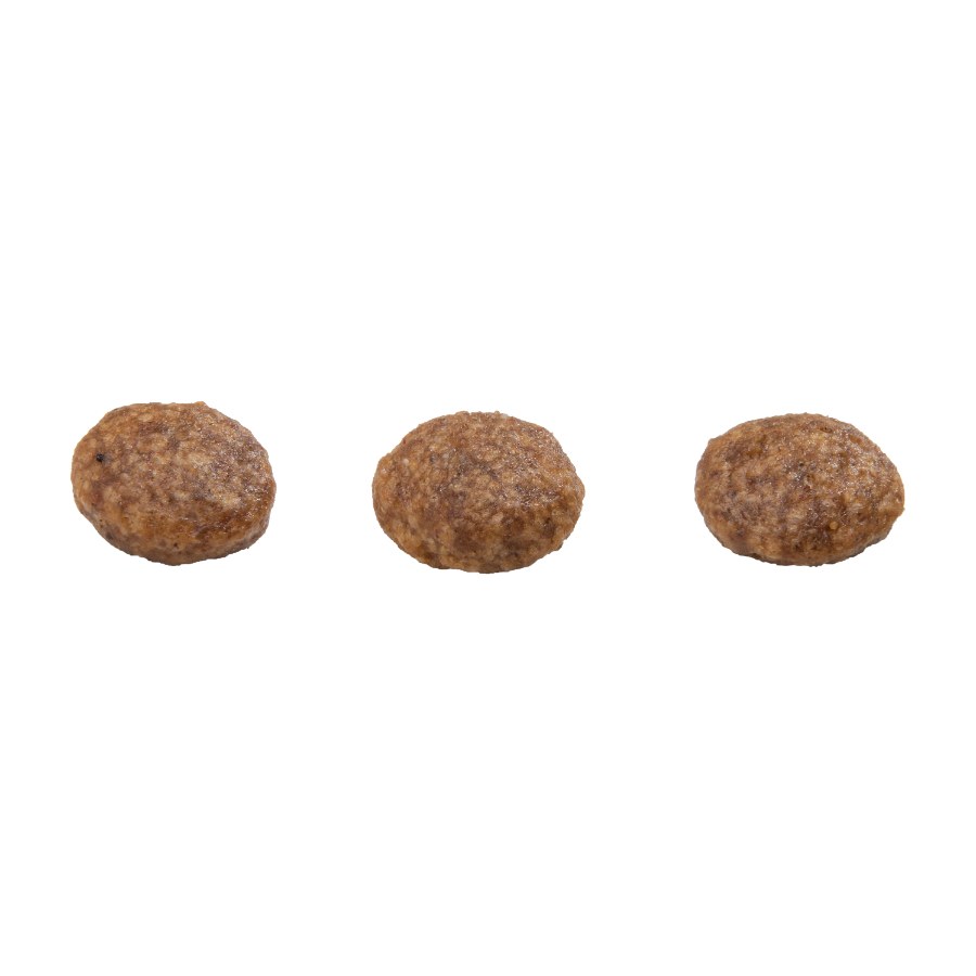 Gran Plus Menu Perro Adulto Mini Pollo Y Arroz, , large image number null